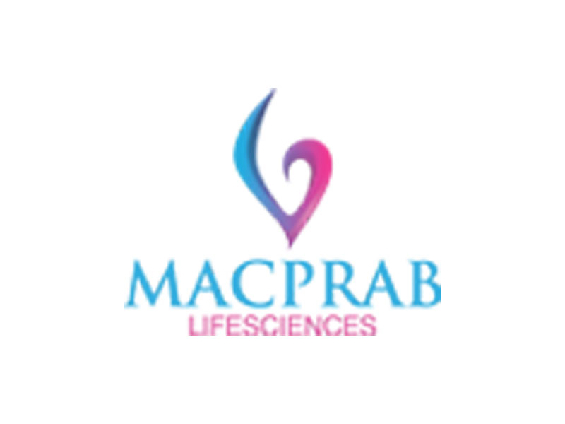 Website Designing Company 

Meerut