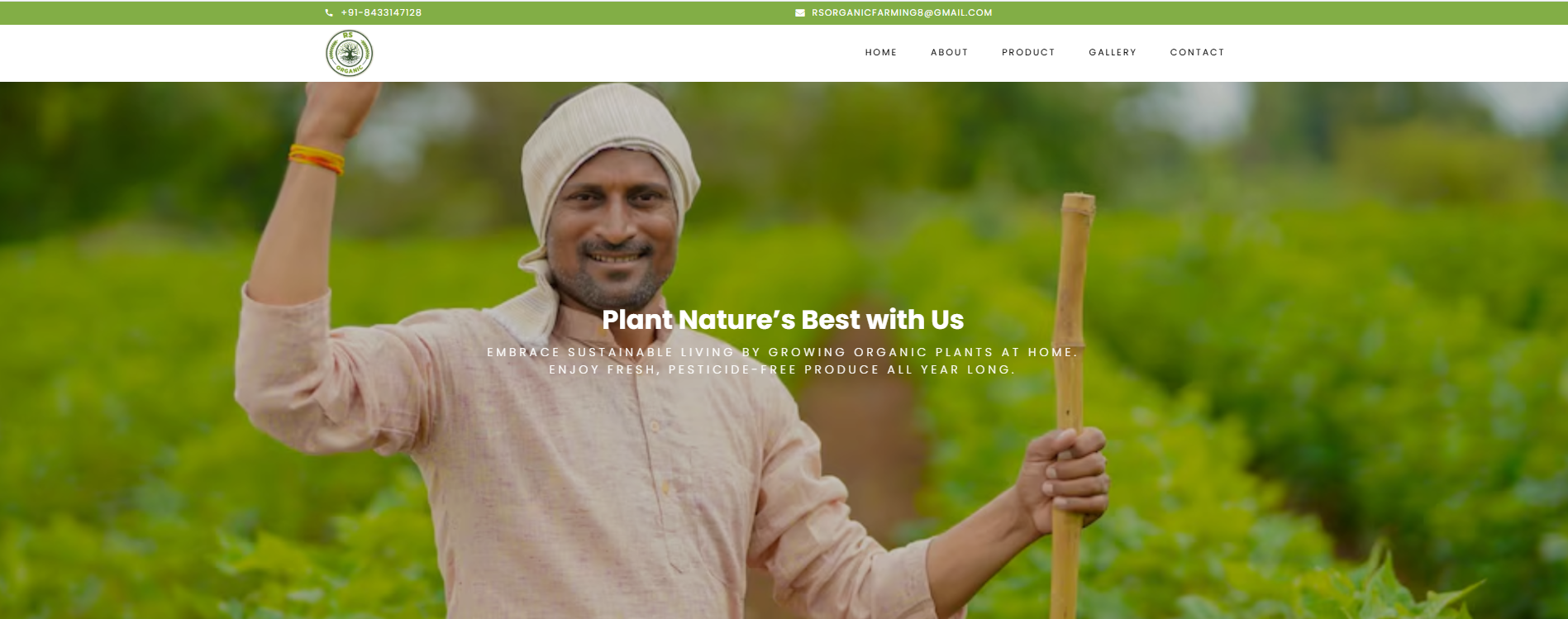 Website Designing Company Meerut